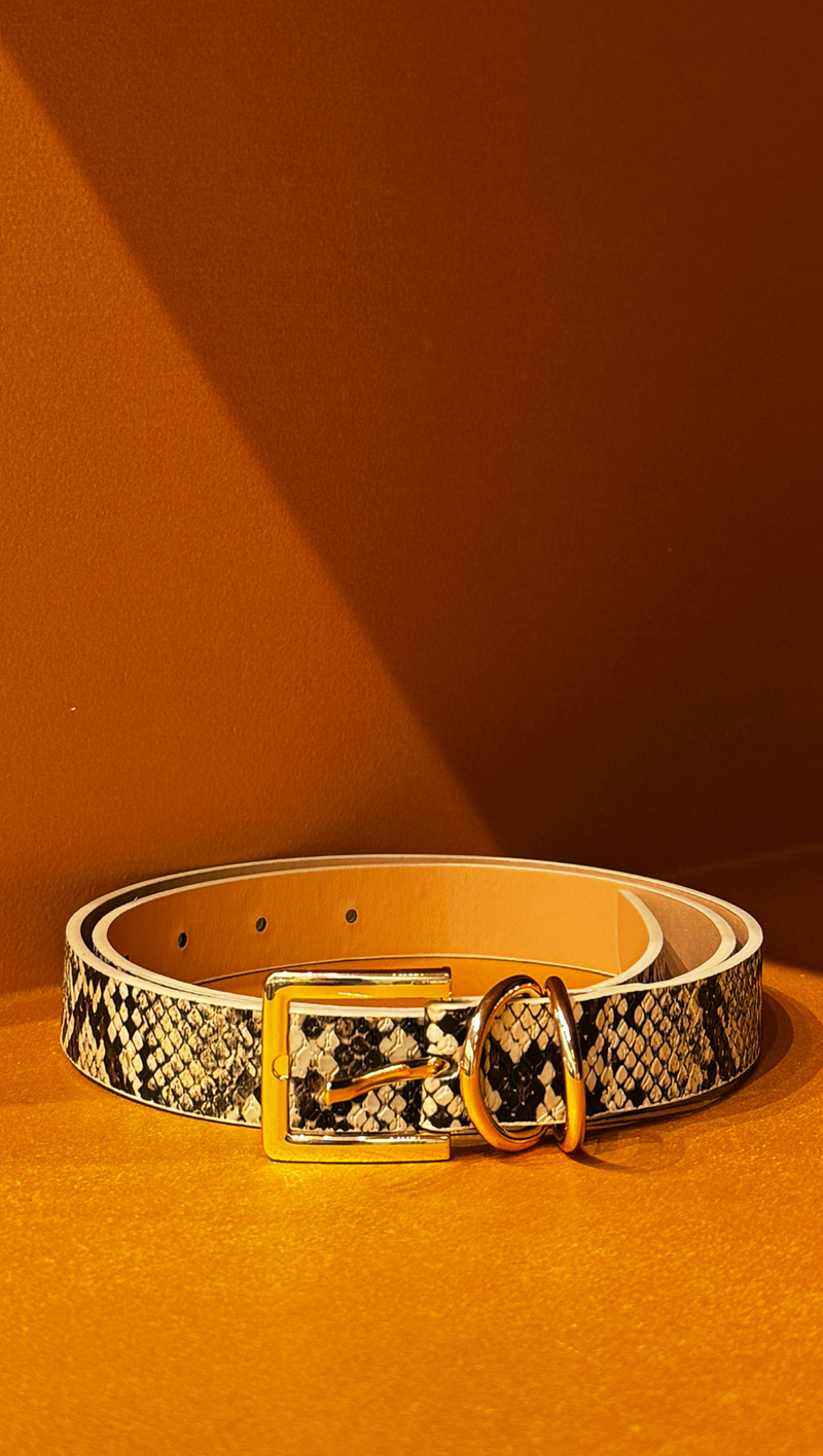 Double Loop Rectangle Buckle