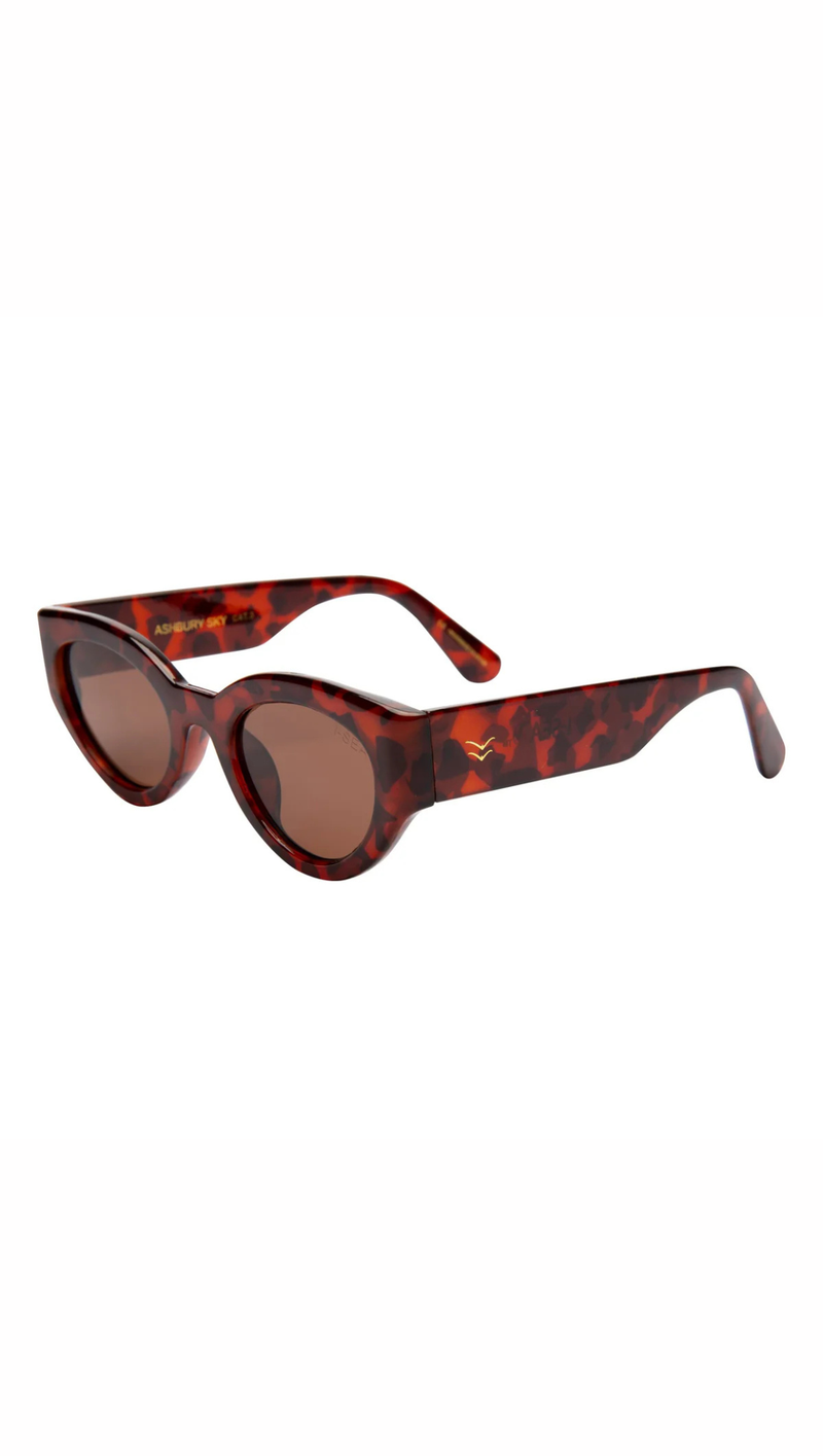 Ashbury Sky - Havana Tort/Brown
