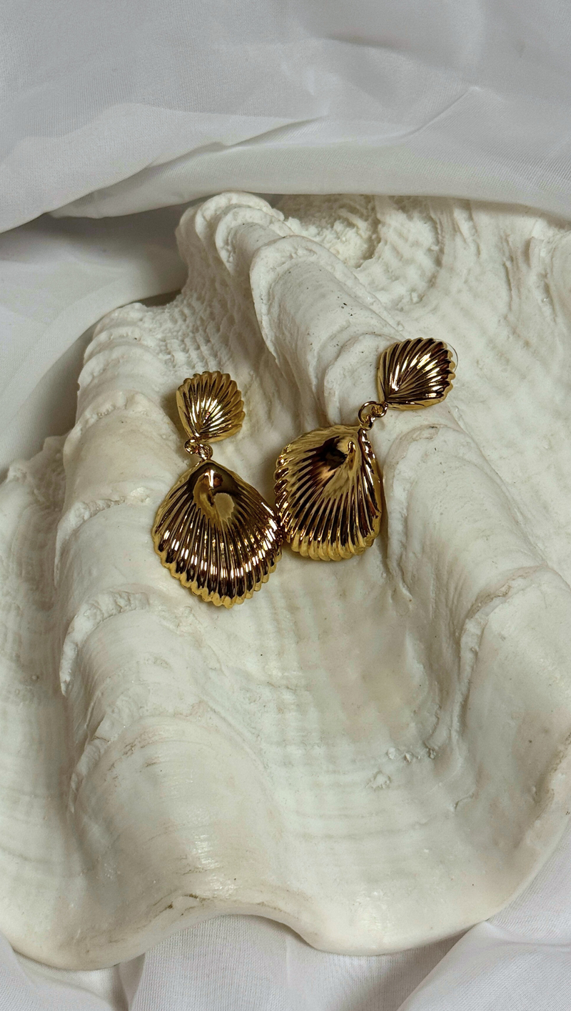 Seashell Dangle Earring - Gold