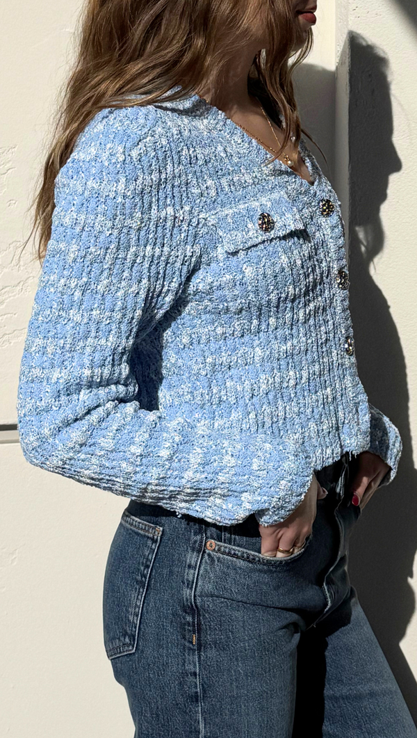 Monique Knit Sweater Cardigan - Light Blue