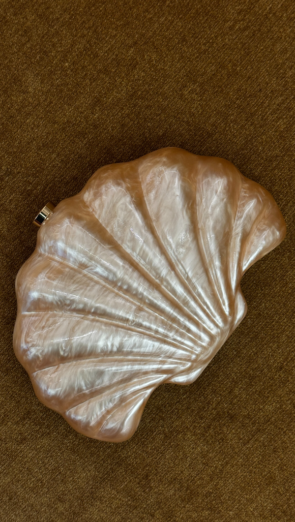 Acrylic Shell Clutch