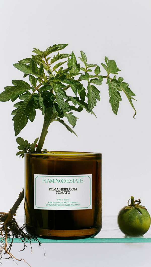 Roma Heirloom Tomato Candle
