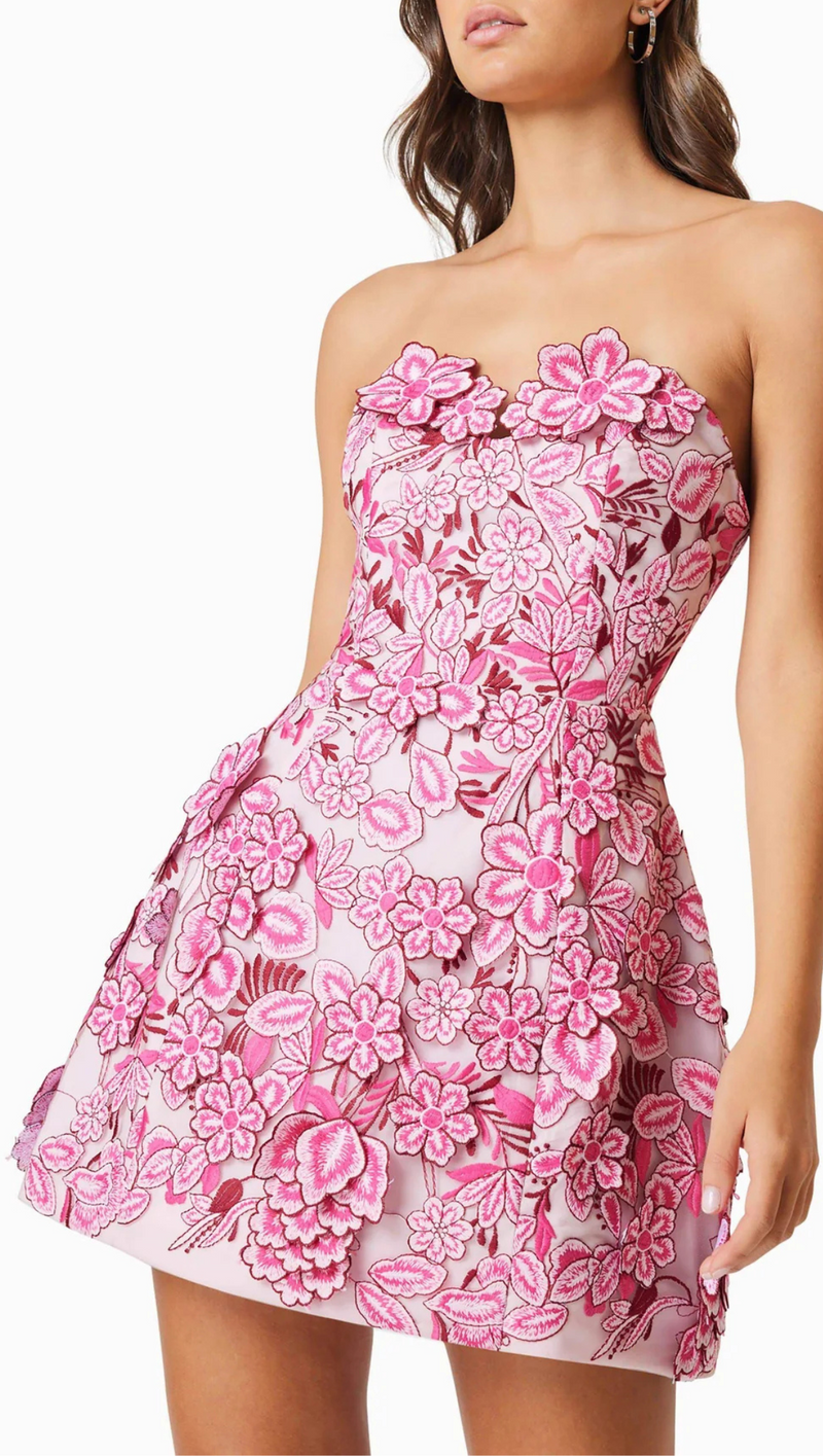Roseate Mini Dress - Pink