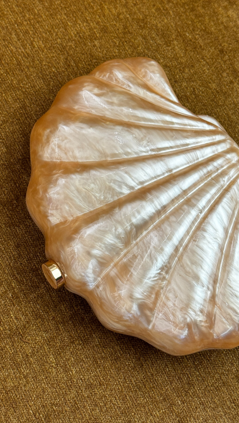Acrylic Shell Clutch