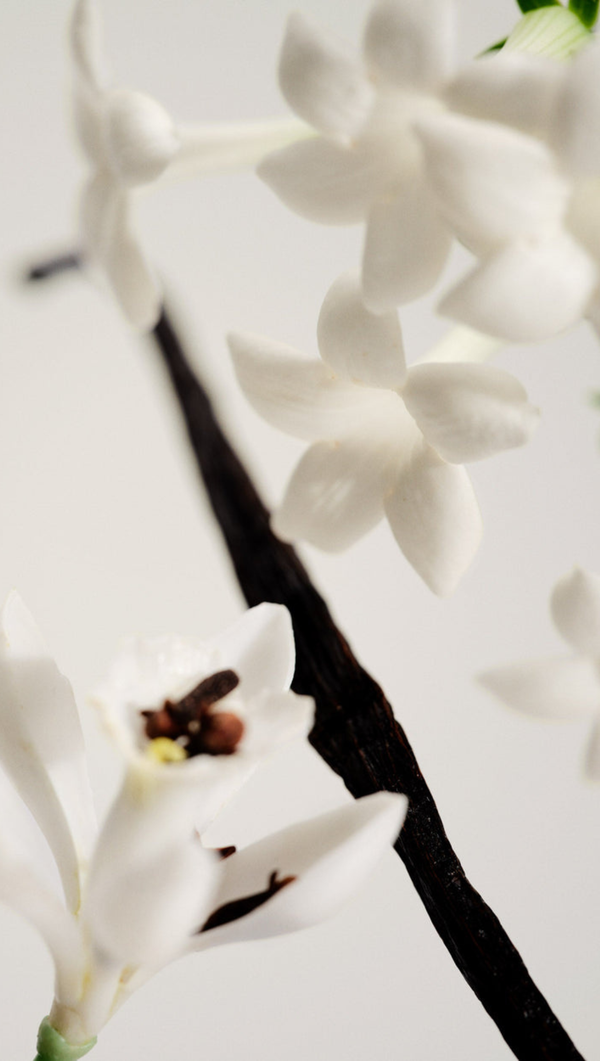 Candle No.03 -  L'Etang Noir
