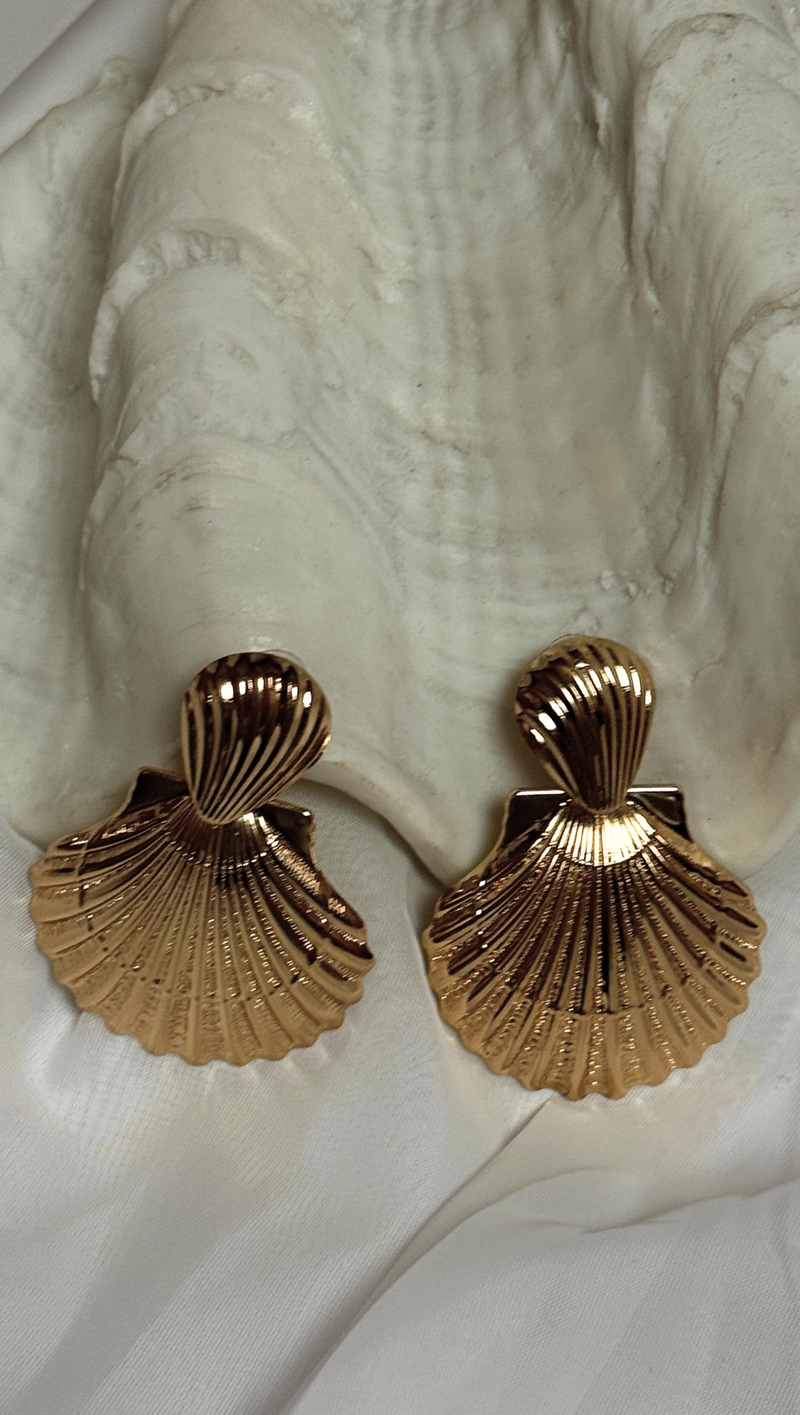 Large Seashell Dangle Earring - Gold