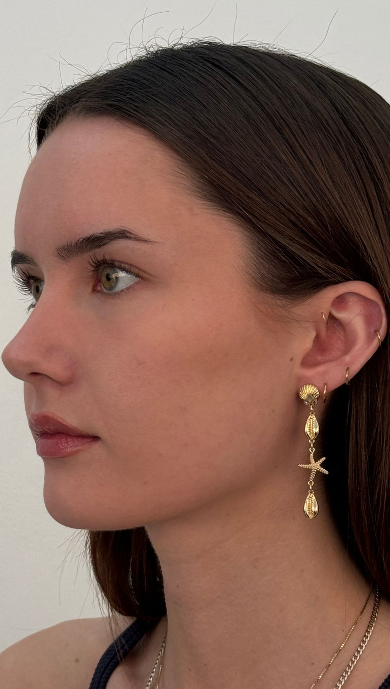 Shell Dangle Drop Earrings - Gold