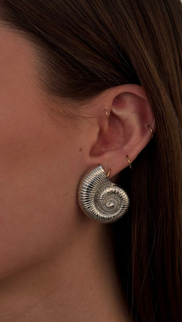 Large Shell Earrings