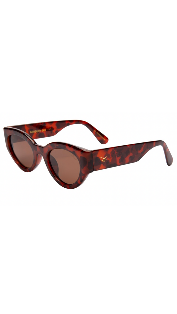 Ashbury Sky - Tort/Brown Polarized Lens