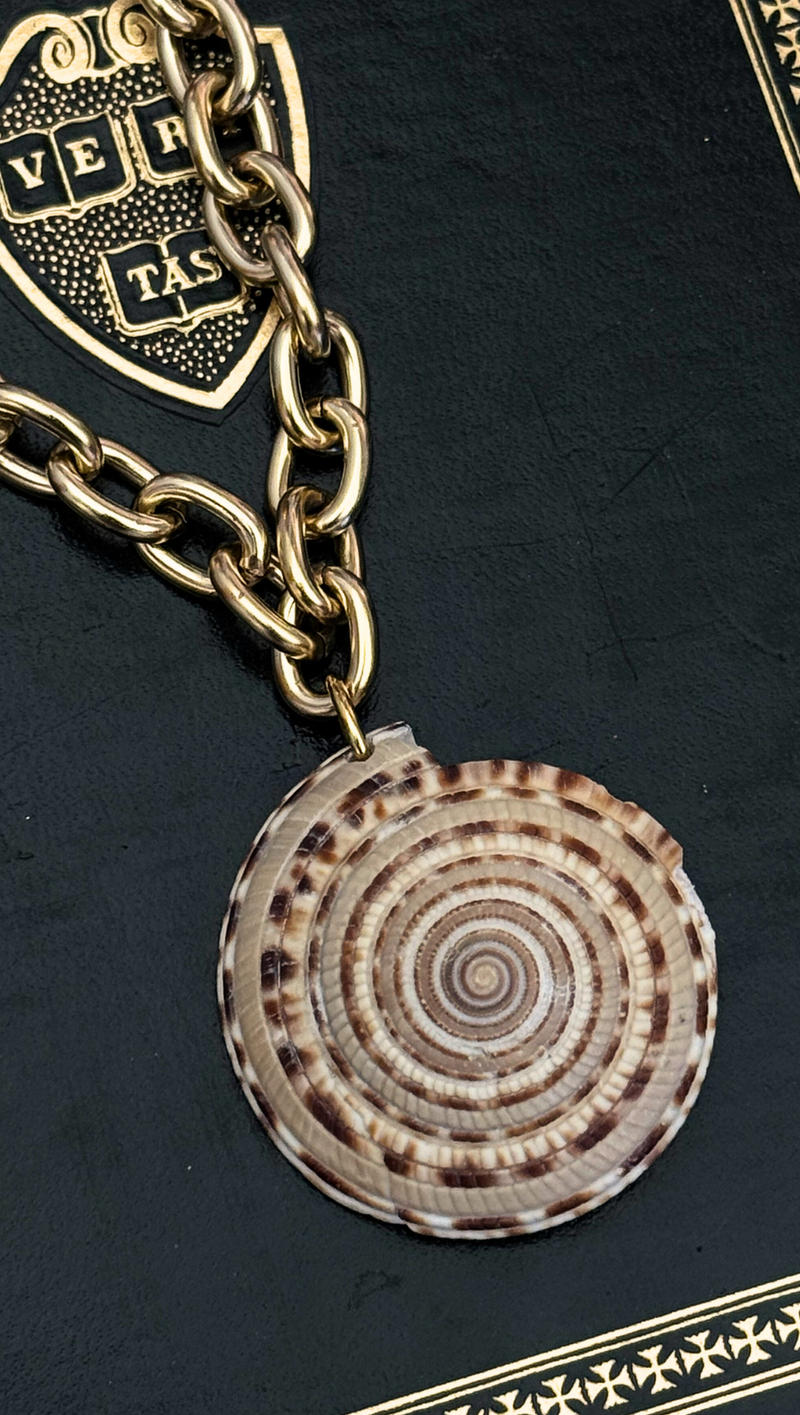 Large Shell Pendant Necklace - Gold