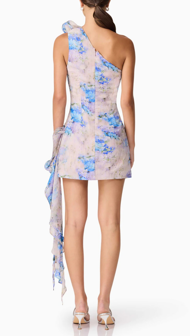 Briony Mini Dress - Floral Multi