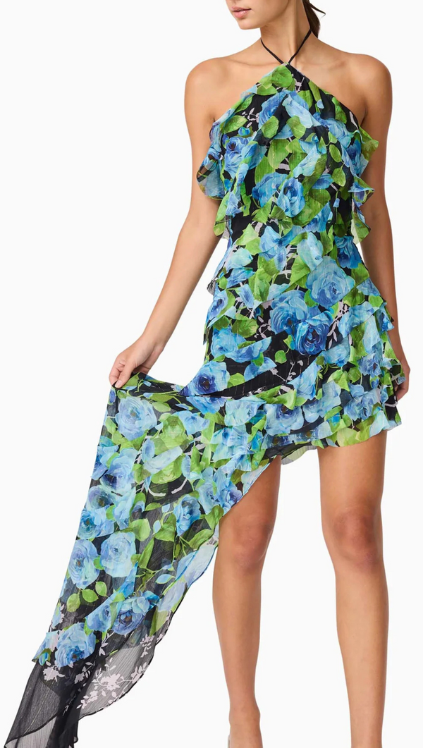 Briony Asymmetrical Maxi Dress - Black Multi