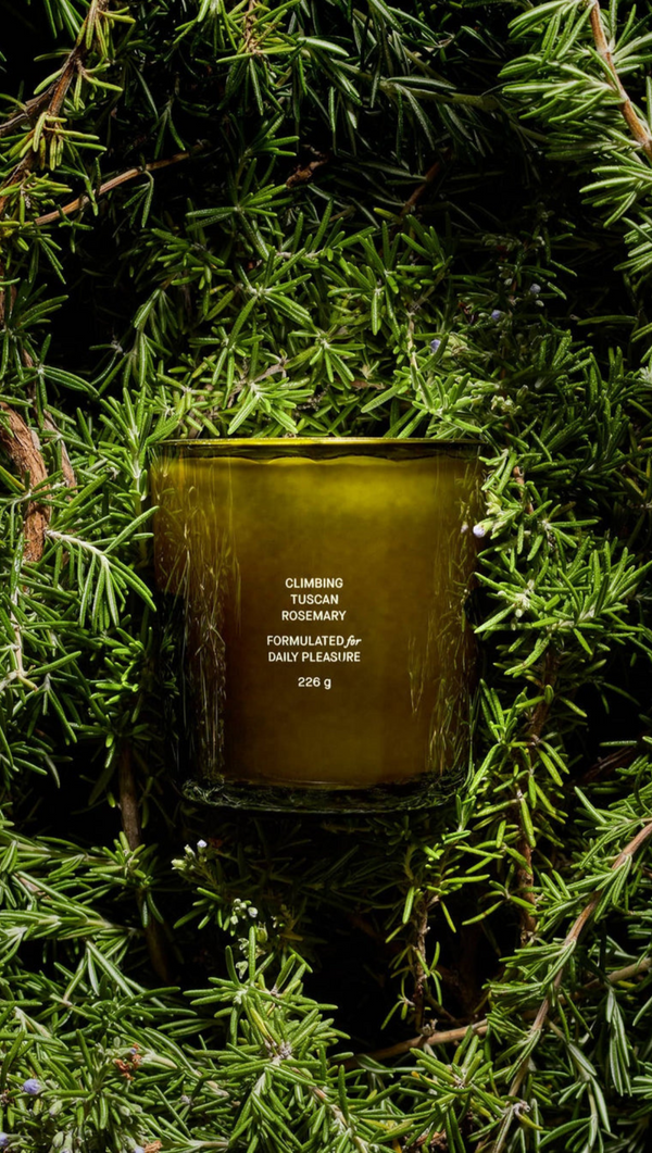 Climbing Tuscan Rosemary Candle